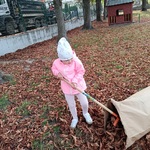 Dziewczynka grabi liście do worka.