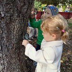 Dziewczynka i chłopiec obserwują przez lupy korę drzewa.