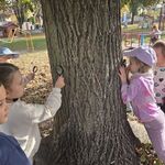 Kilkoro dzieci z lupami w ręku obserwuje korę drzewa.