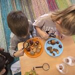 Dwoje dzieci obserwuje przez lupę wygląd kasztanów i łupin z dwóch rodzajów kasztanowca.