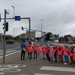 Grupa dzieci w kamizelkach odblaskowych koloru pomarańczowego przed przejscie dla pieszych z sygnalizatorem. W tle duże skrzyżowanie dróg