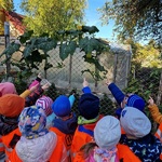 2. Kilkoro dzieci wskazuje palcem na liście