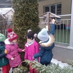 trzy dziewczynki_ jedna wkłada ziarno do karmnika. w tle wysoka tuja.jpg