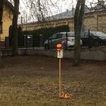 w centrum zdjęcia płonąca kukła marzanny nadziana na kij.