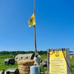 flaga i regulamin miodowych skautów
