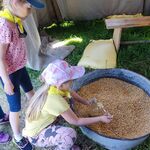 dziewczynka nabiera łyżką ziaren do słoika