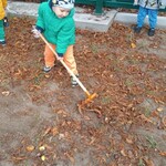 chłopiec ubrany w niebieską kurtkę grabi liście.