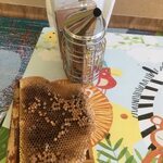 na stole leży plaster miodu i podkurzacz do pszczół