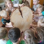 dzieci trzymają wielki plaster drzewa