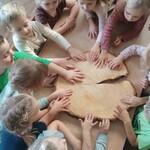 widok z góry_ dzieci trzymające dłonie na plastrze drzewa