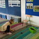 Dziewczynka układa kasztany na dywanie