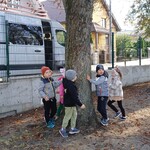 Dzieci dotykają drzewa 