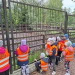 Dzieci stoją_ kilkoro kuca patrząc na jelenie chodzące ileżące za ogrodzeniem.