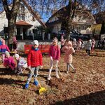 Kilkoro dzieci stoi_ trzymając grabie_ pozostałe dzieci zbierają liście.