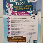 Plakat 5 Zasad Mycia Zębów.