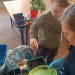 chłopiec sypie ziarenka na ziemię w doniczce_ pani trzyma tależyk z nasionami.