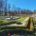 dzieci spacerują między alejkami bukszpanów.