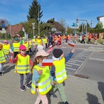 Dwie grupy dzieci trzymając w rekach biało-czerwone chorągiewki przechodzą po przejsciu dla pieszych.