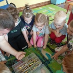 Grupka dzieci pochyla się nad pudełkiem z przynętami na ryby.