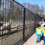 dzieci w zoo
