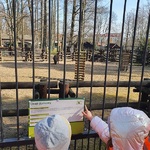 dzieci w zoo
