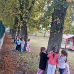  Plac zabaw, na zdjęciu 6 drzew do 3 przytulają się dzieci. 
