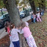 Plac zabaw, 3 drzewa kasztanowce do którego przytulają się dzieci z gr IV 