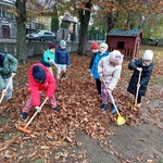 Kilkoro dzieci grabi liście.