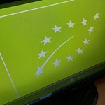 Zdjęcie monitora z symbolem euroliścia